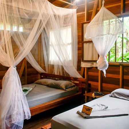 La Tarima Del Colibri Ecolodge El Valle  Ngoại thất bức ảnh