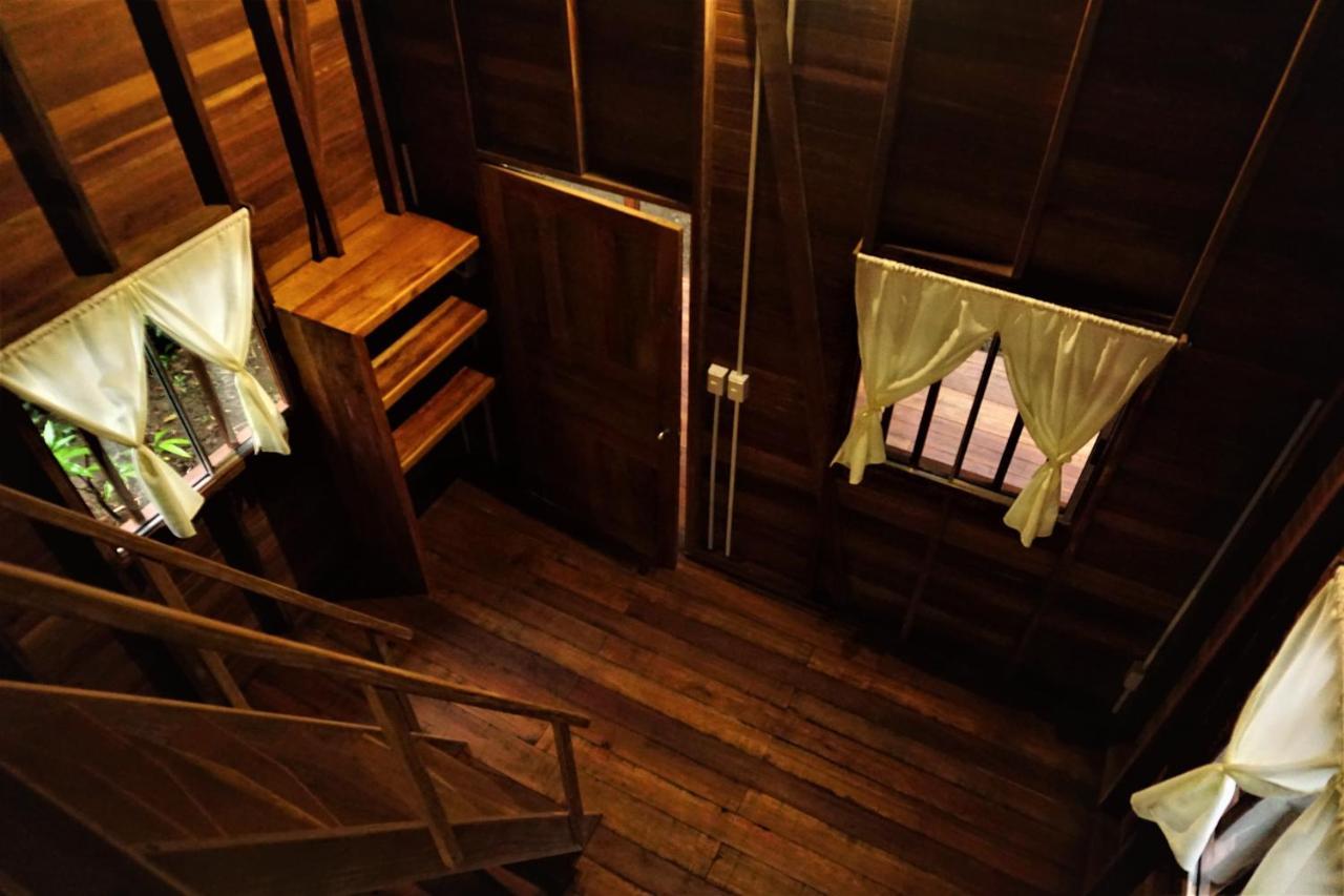 La Tarima Del Colibri Ecolodge El Valle  Ngoại thất bức ảnh