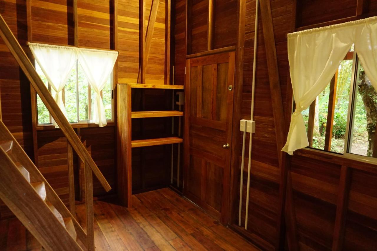 La Tarima Del Colibri Ecolodge El Valle  Ngoại thất bức ảnh