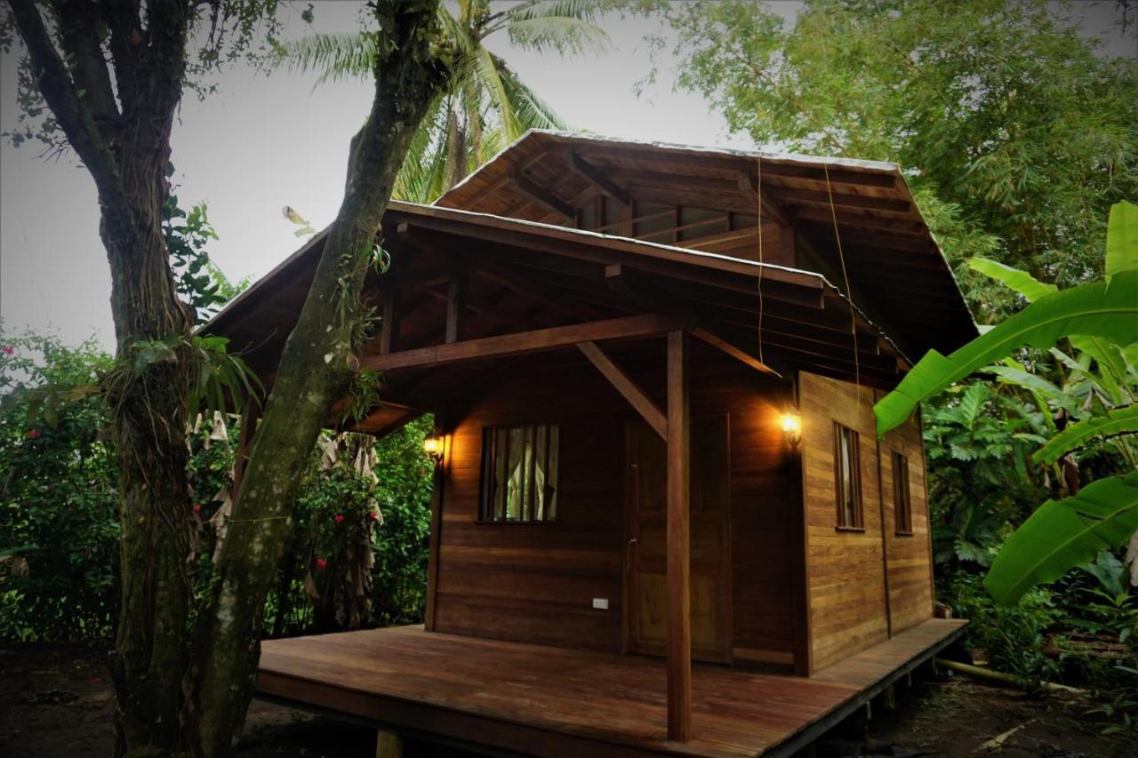 La Tarima Del Colibri Ecolodge El Valle  Ngoại thất bức ảnh
