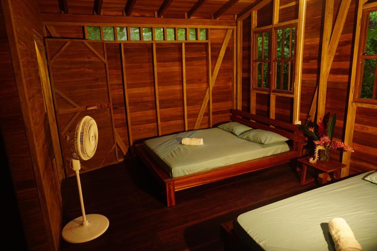 La Tarima Del Colibri Ecolodge El Valle  Ngoại thất bức ảnh