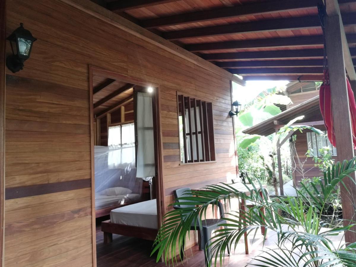 La Tarima Del Colibri Ecolodge El Valle  Ngoại thất bức ảnh