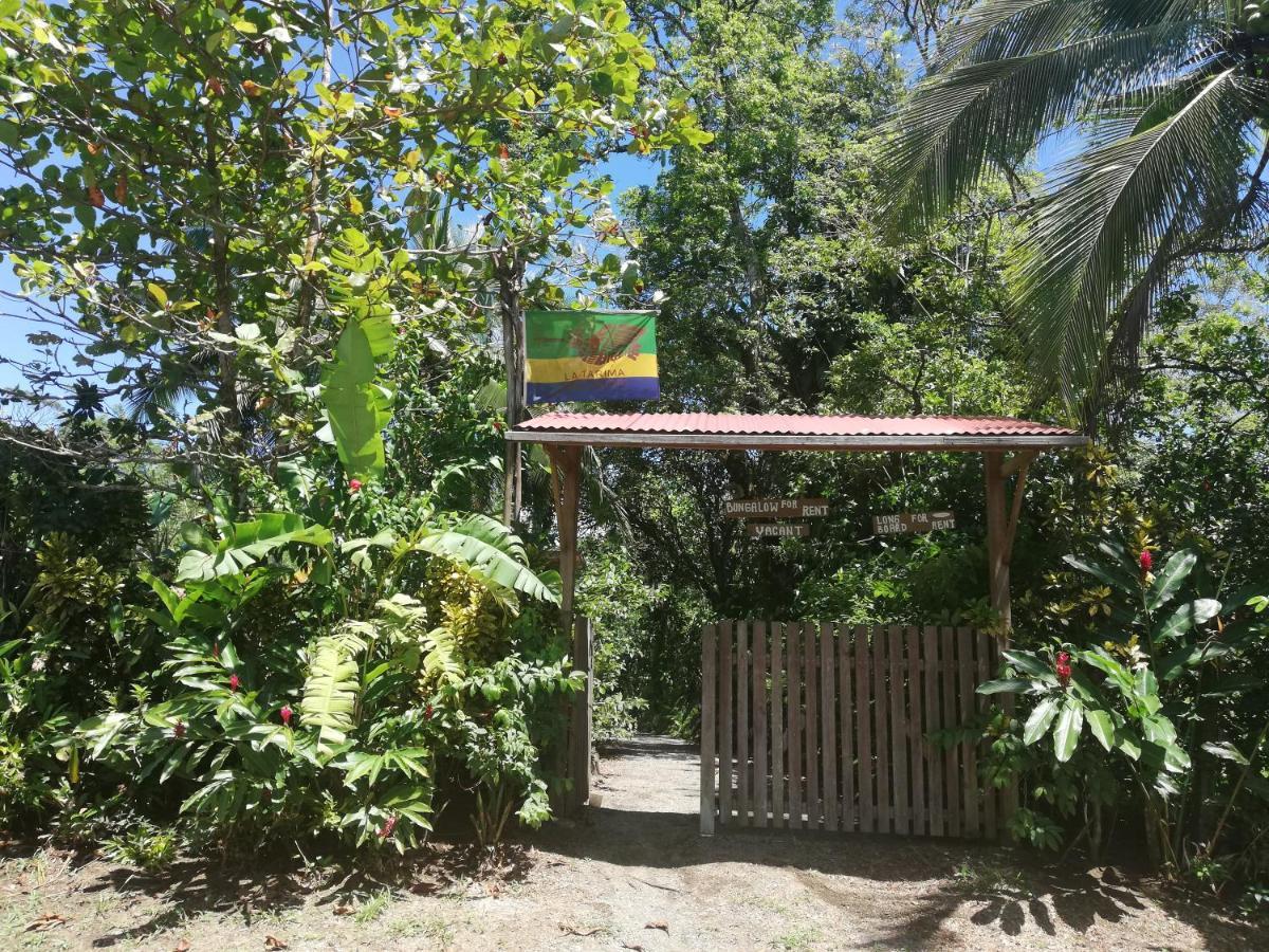 La Tarima Del Colibri Ecolodge El Valle  Ngoại thất bức ảnh