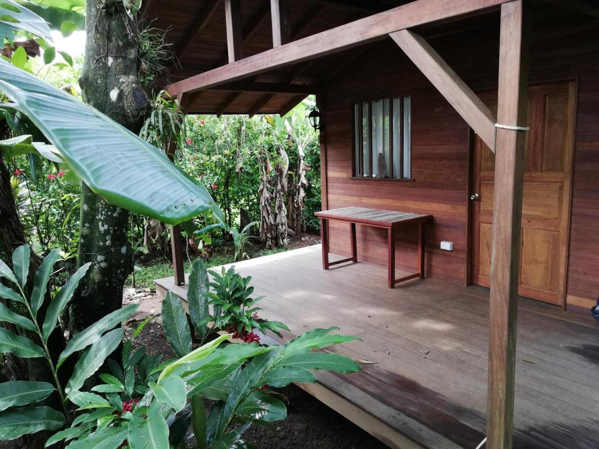 La Tarima Del Colibri Ecolodge El Valle  Ngoại thất bức ảnh