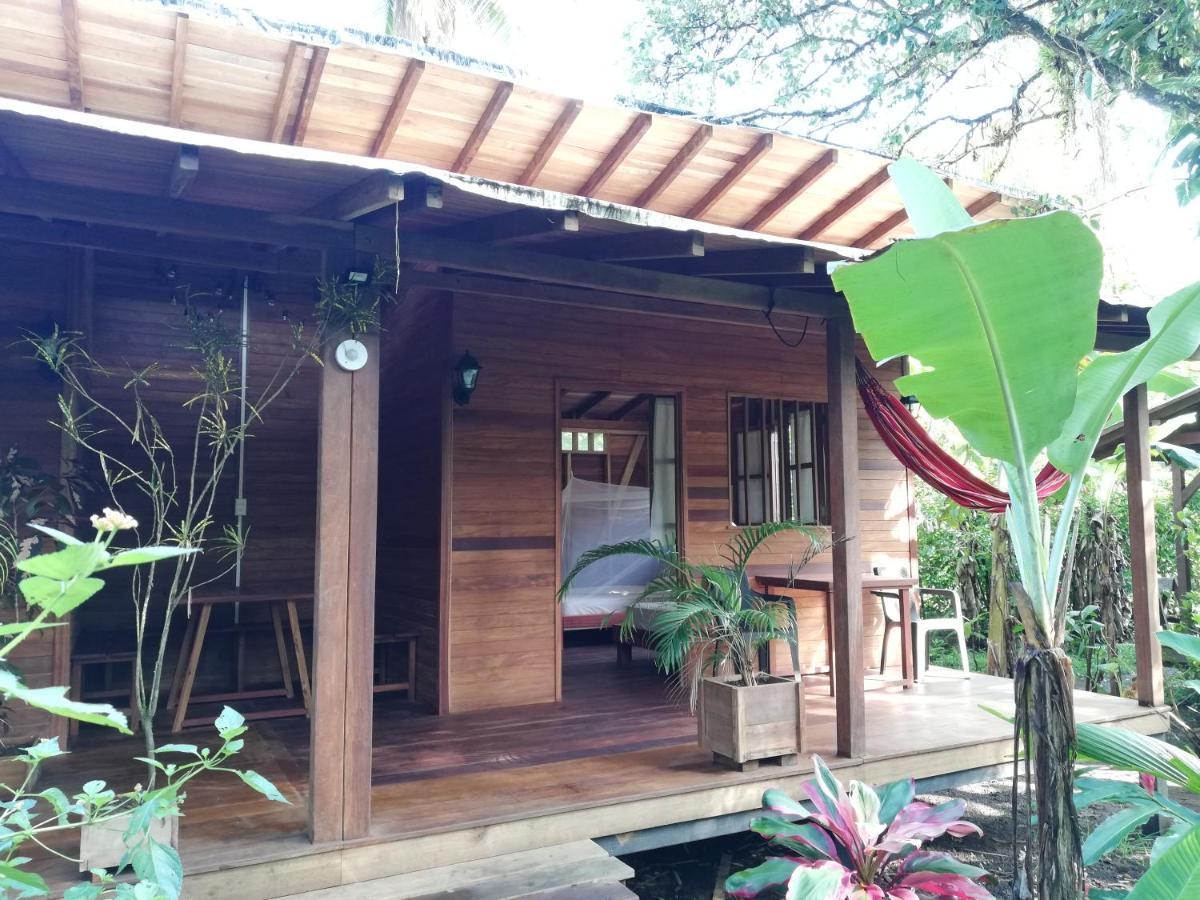 La Tarima Del Colibri Ecolodge El Valle  Ngoại thất bức ảnh
