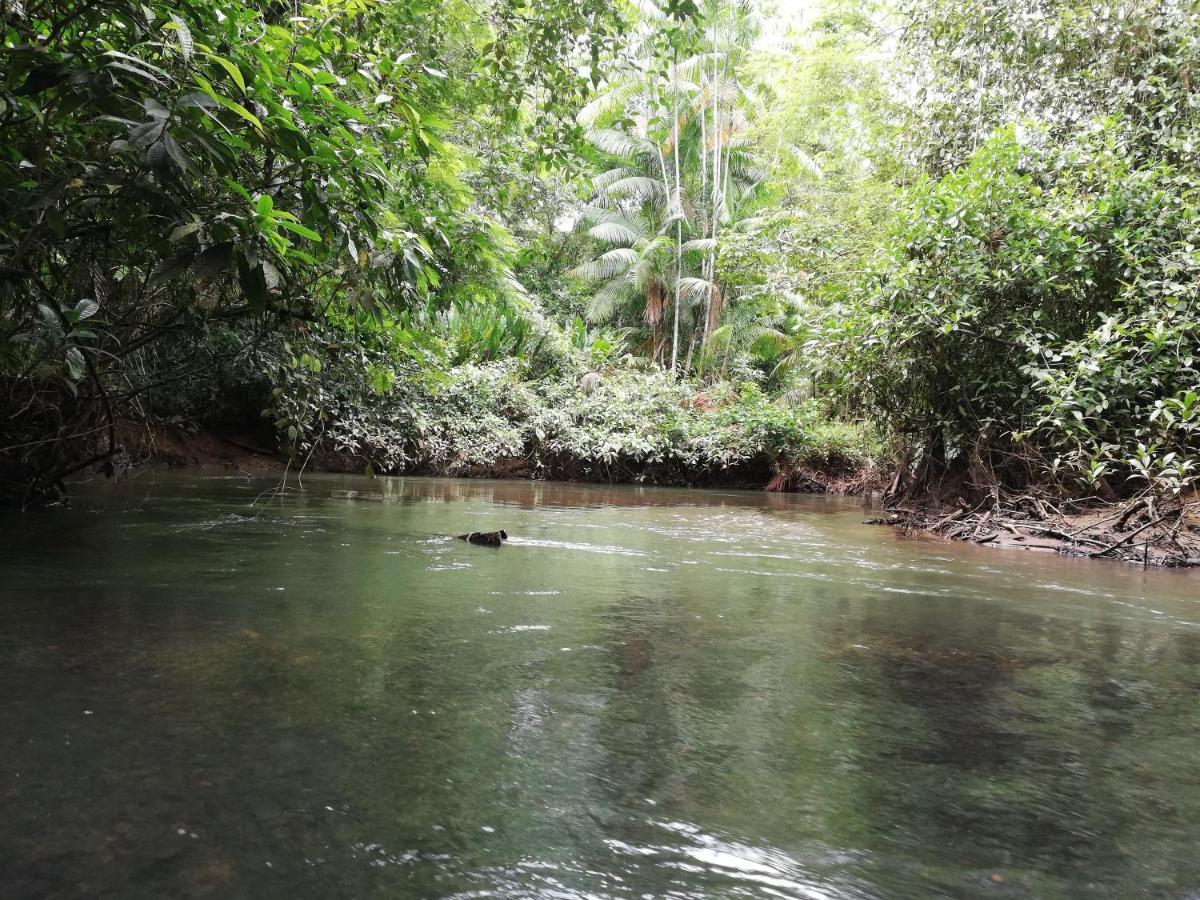 La Tarima Del Colibri Ecolodge El Valle  Ngoại thất bức ảnh