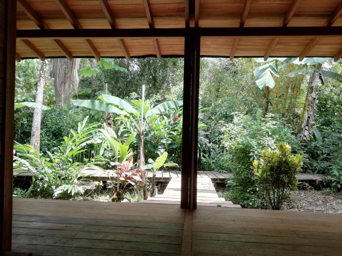 La Tarima Del Colibri Ecolodge El Valle  Ngoại thất bức ảnh