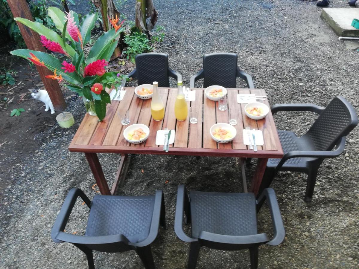 La Tarima Del Colibri Ecolodge El Valle  Ngoại thất bức ảnh