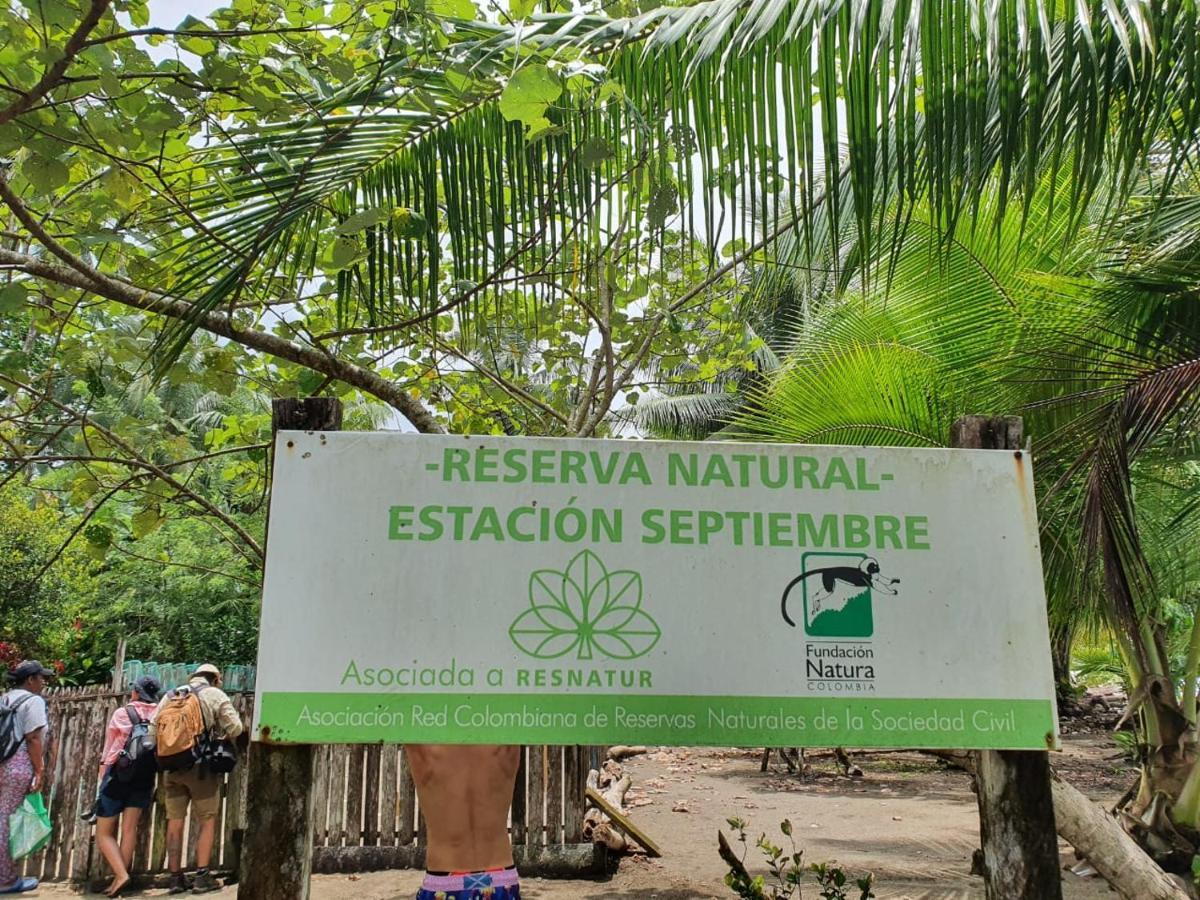La Tarima Del Colibri Ecolodge El Valle  Ngoại thất bức ảnh