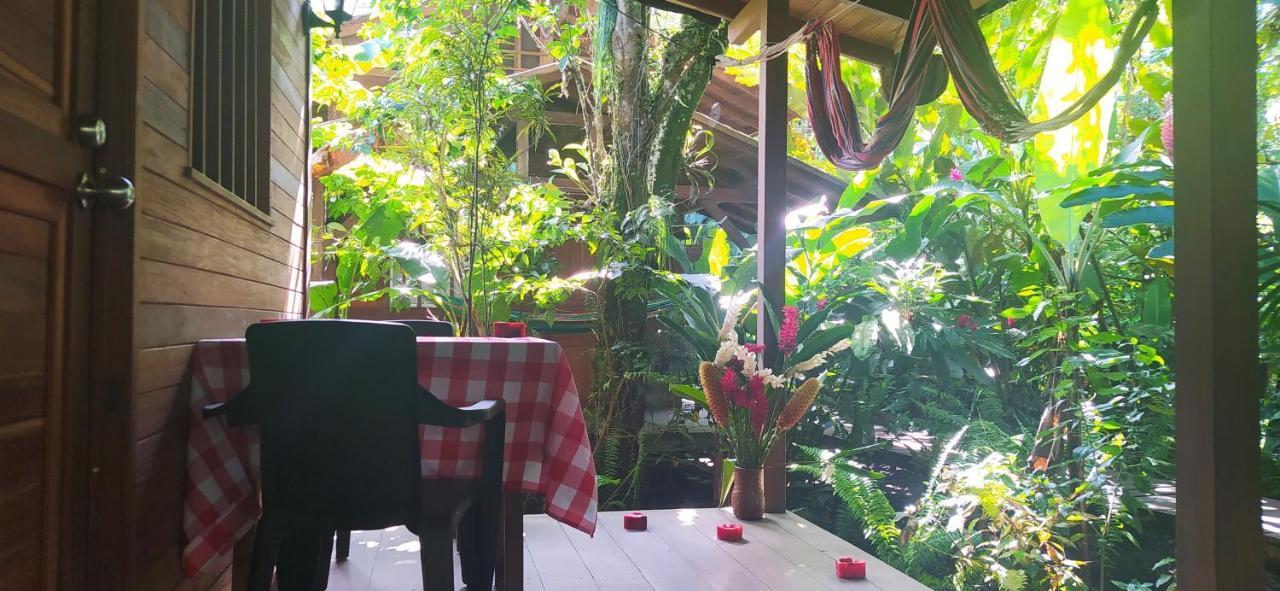 La Tarima Del Colibri Ecolodge El Valle  Ngoại thất bức ảnh
