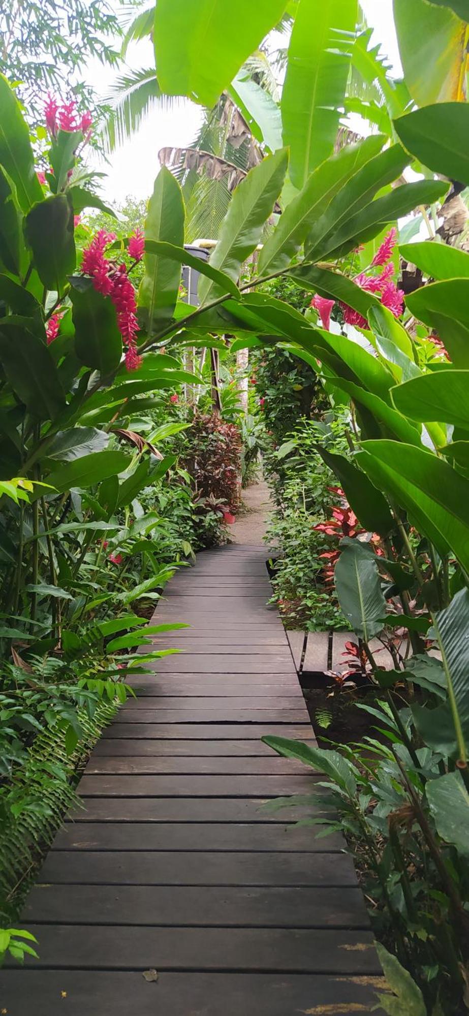 La Tarima Del Colibri Ecolodge El Valle  Ngoại thất bức ảnh