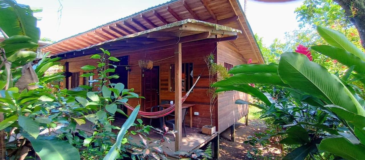 La Tarima Del Colibri Ecolodge El Valle  Ngoại thất bức ảnh