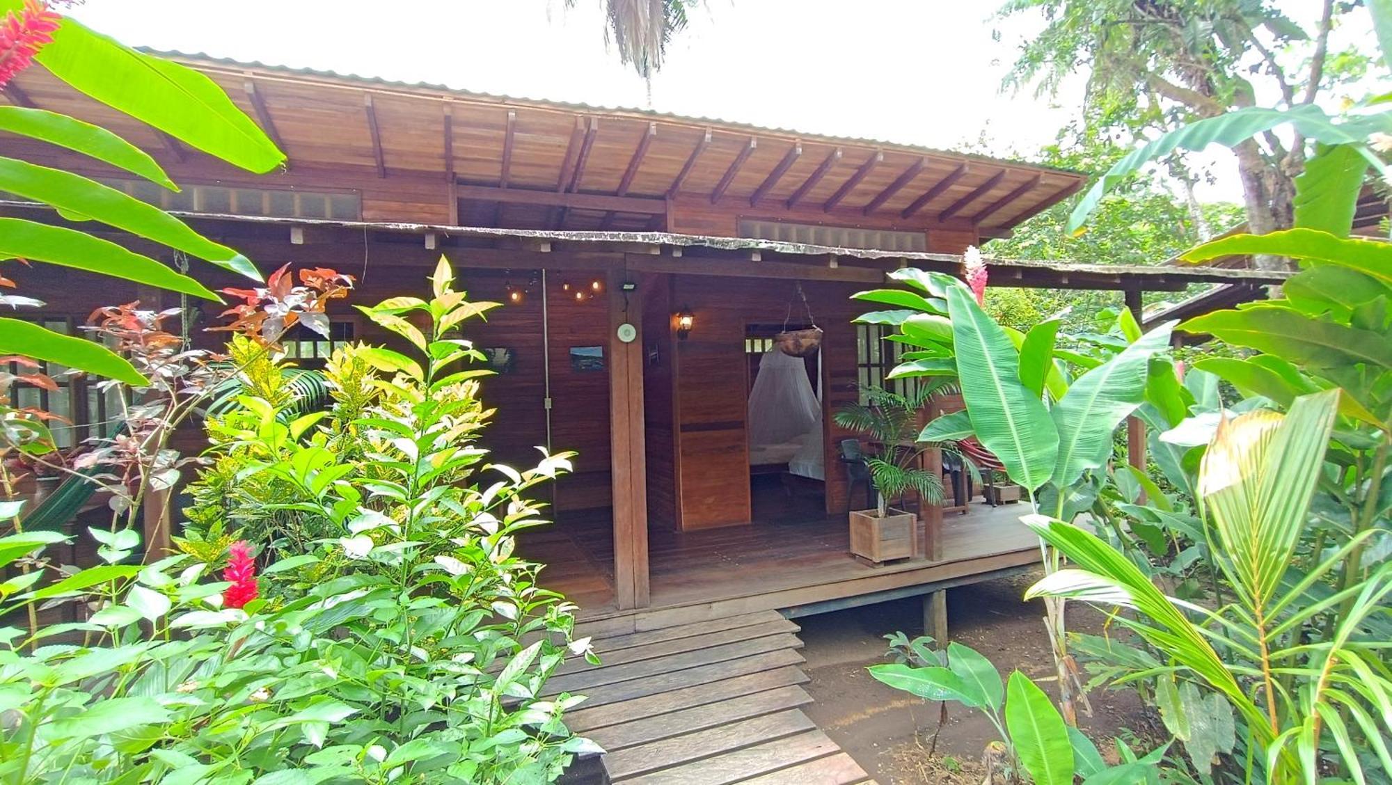La Tarima Del Colibri Ecolodge El Valle  Ngoại thất bức ảnh