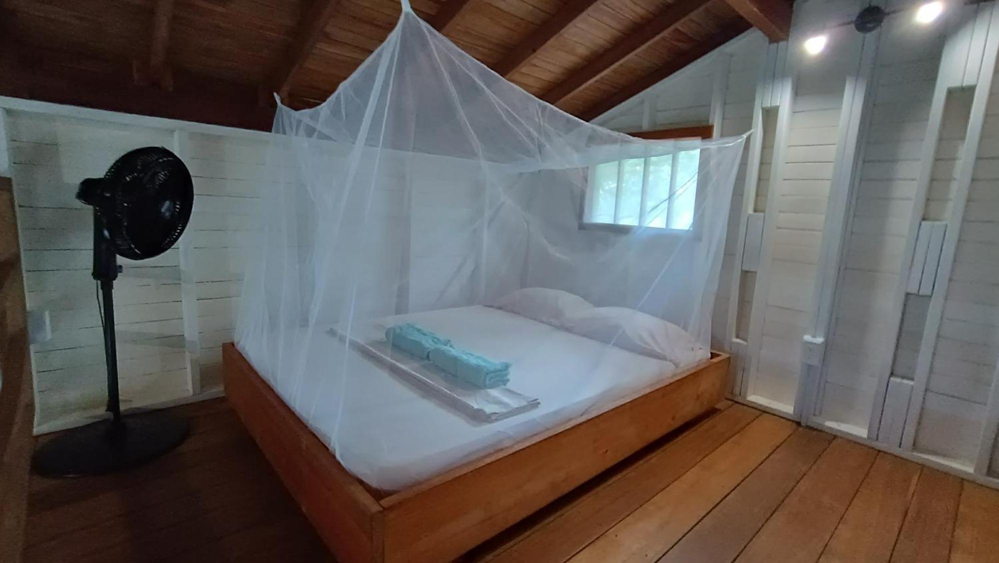 La Tarima Del Colibri Ecolodge El Valle  Ngoại thất bức ảnh