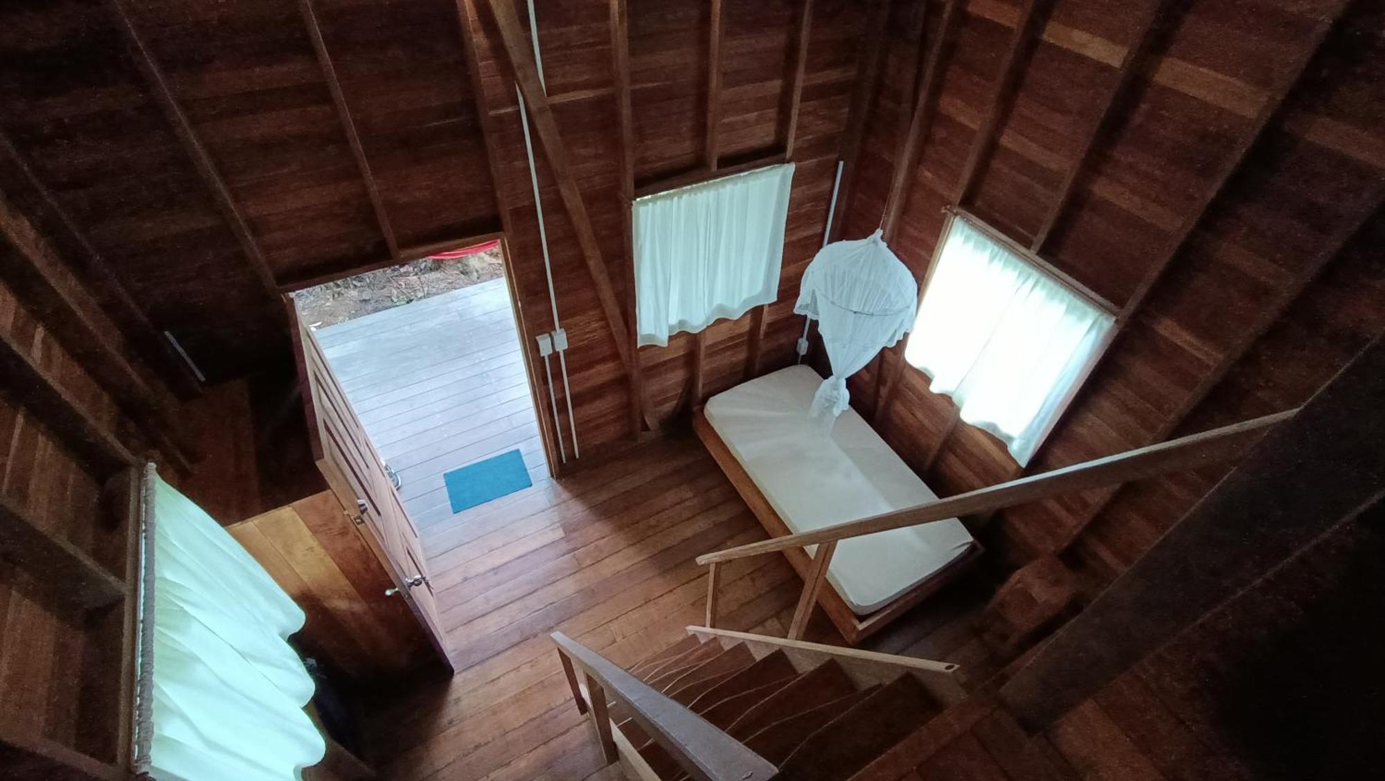 La Tarima Del Colibri Ecolodge El Valle  Ngoại thất bức ảnh