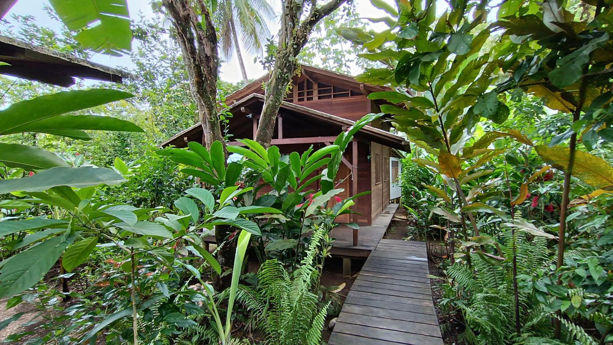 La Tarima Del Colibri Ecolodge El Valle  Ngoại thất bức ảnh