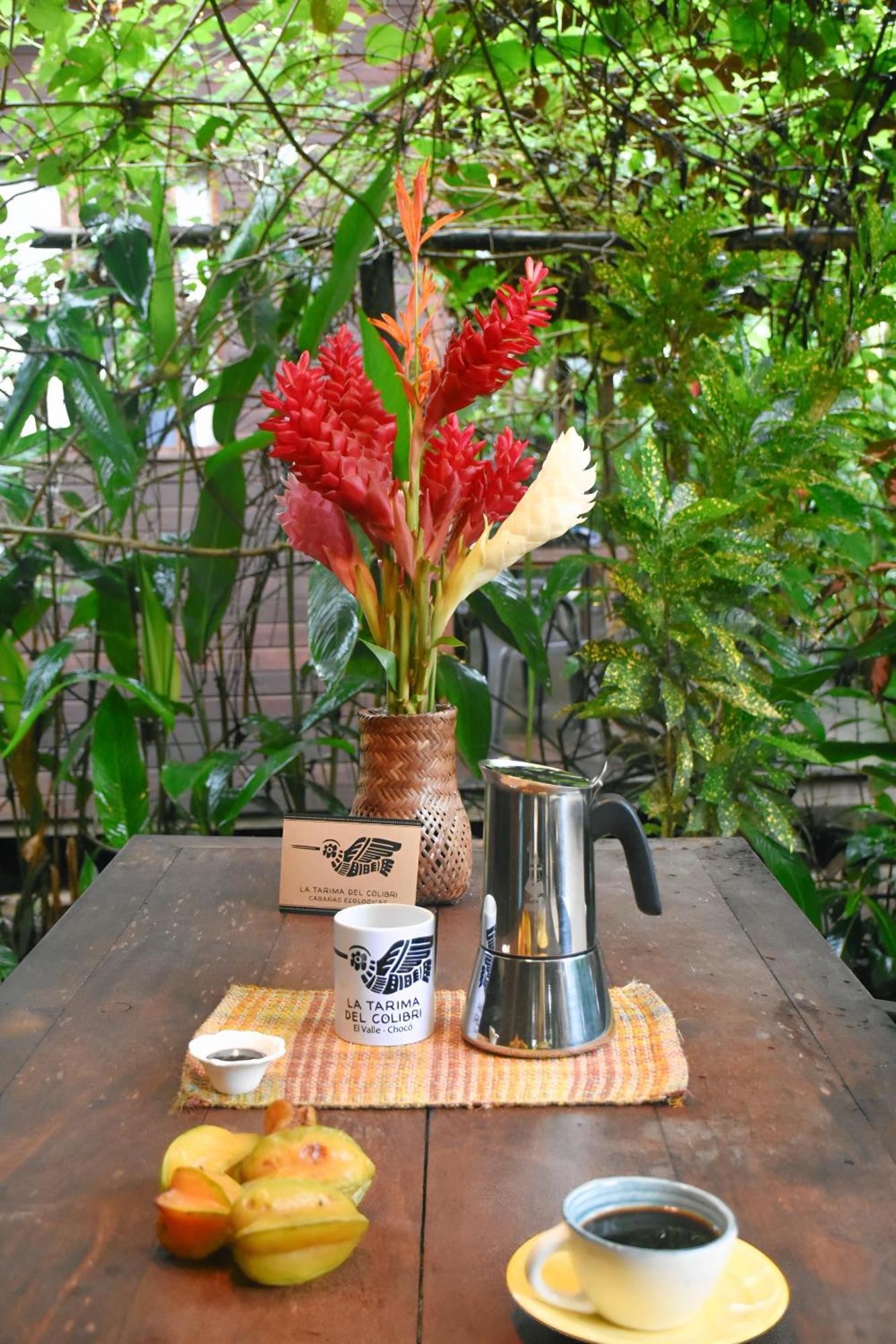 La Tarima Del Colibri Ecolodge El Valle  Ngoại thất bức ảnh
