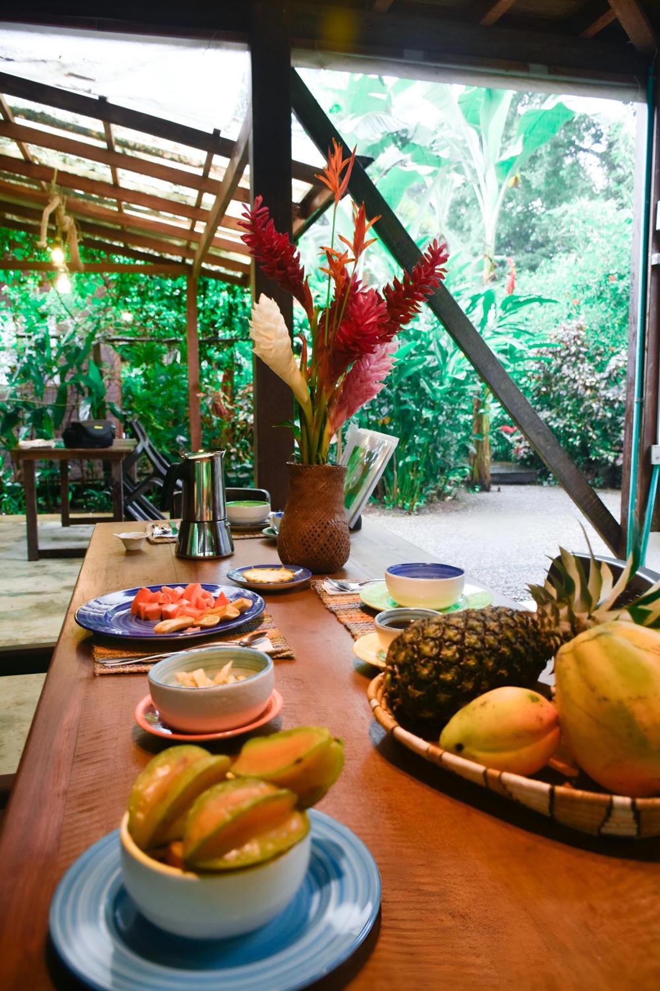La Tarima Del Colibri Ecolodge El Valle  Ngoại thất bức ảnh