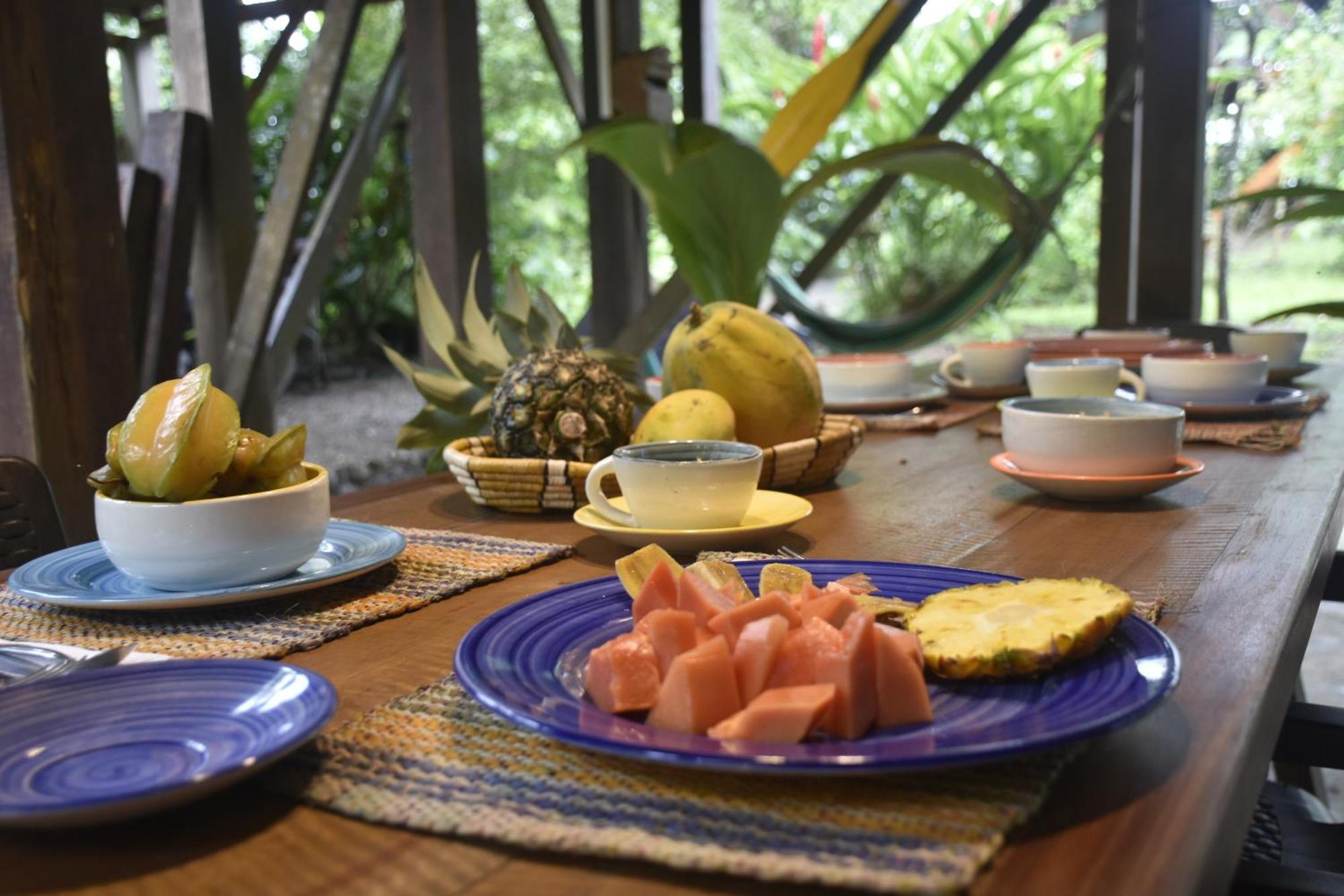 La Tarima Del Colibri Ecolodge El Valle  Ngoại thất bức ảnh