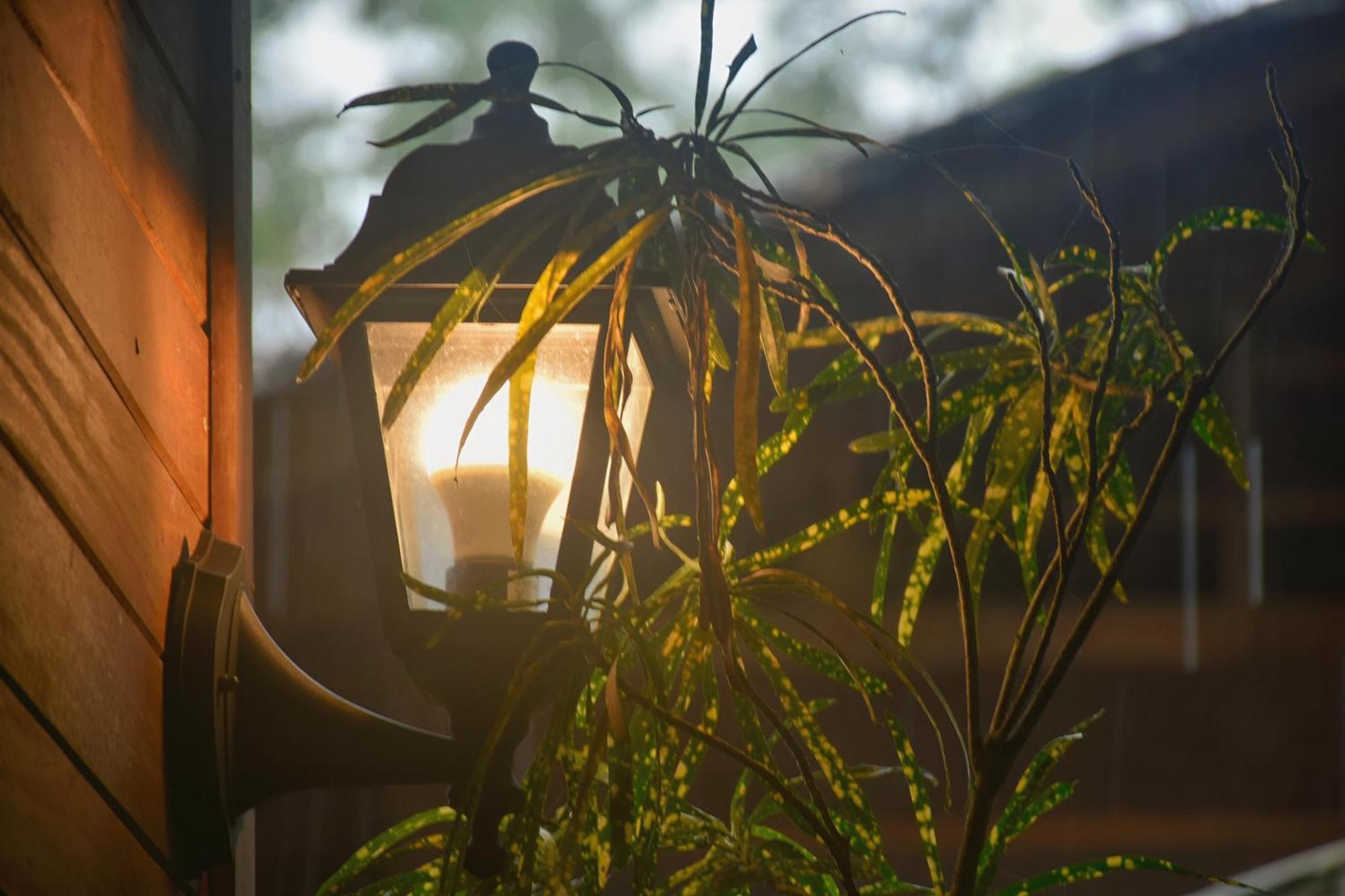La Tarima Del Colibri Ecolodge El Valle  Ngoại thất bức ảnh
