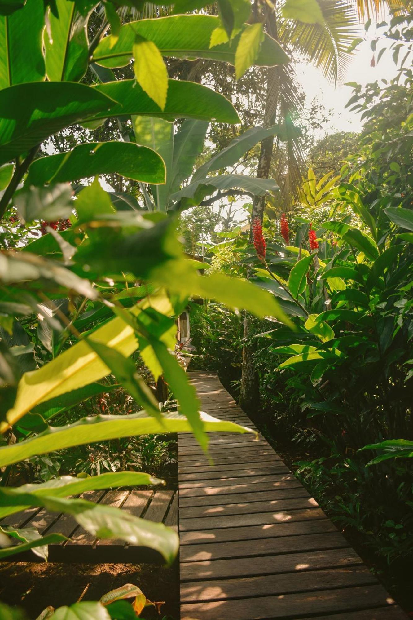 La Tarima Del Colibri Ecolodge El Valle  Ngoại thất bức ảnh