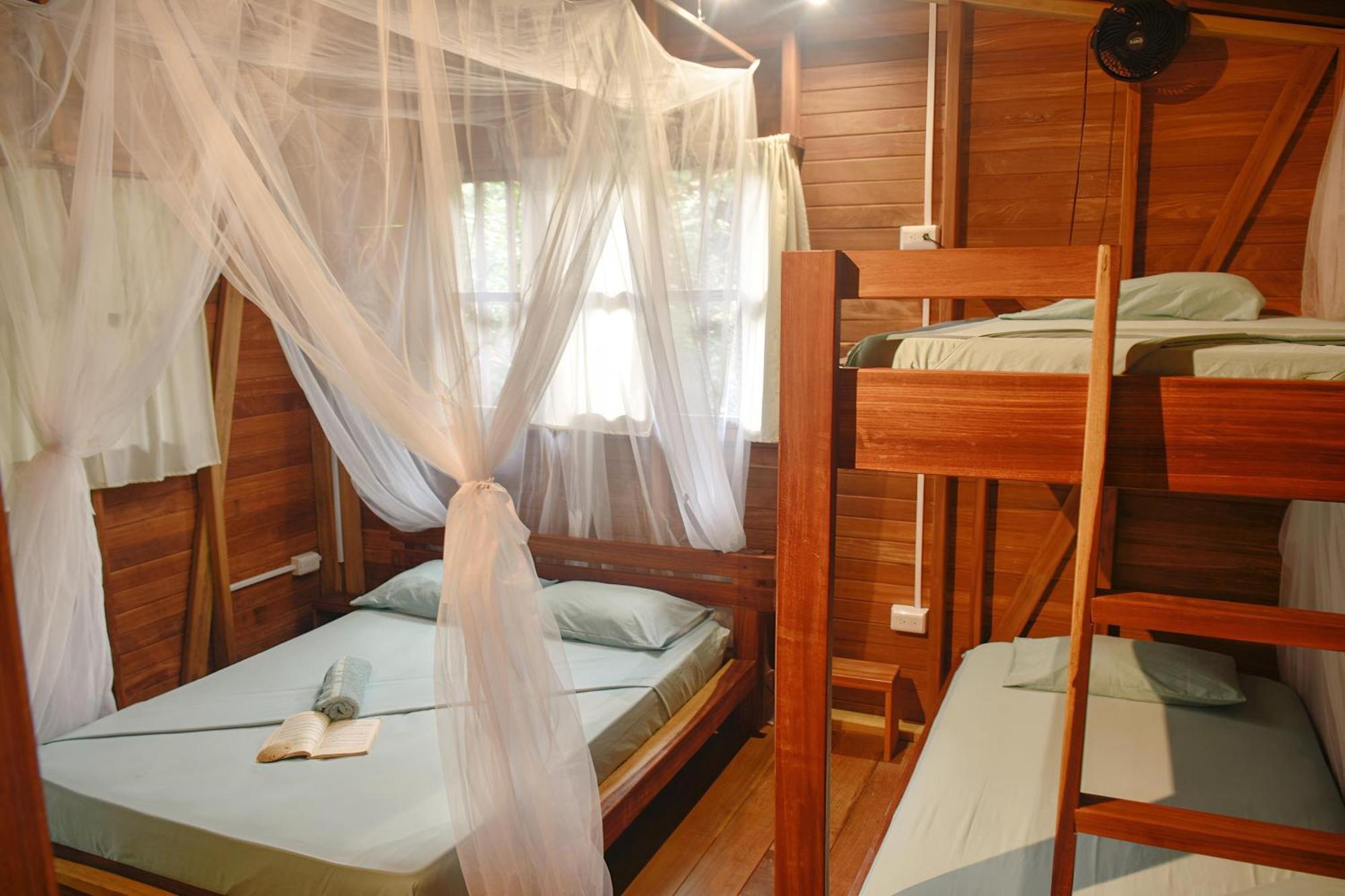 La Tarima Del Colibri Ecolodge El Valle  Ngoại thất bức ảnh