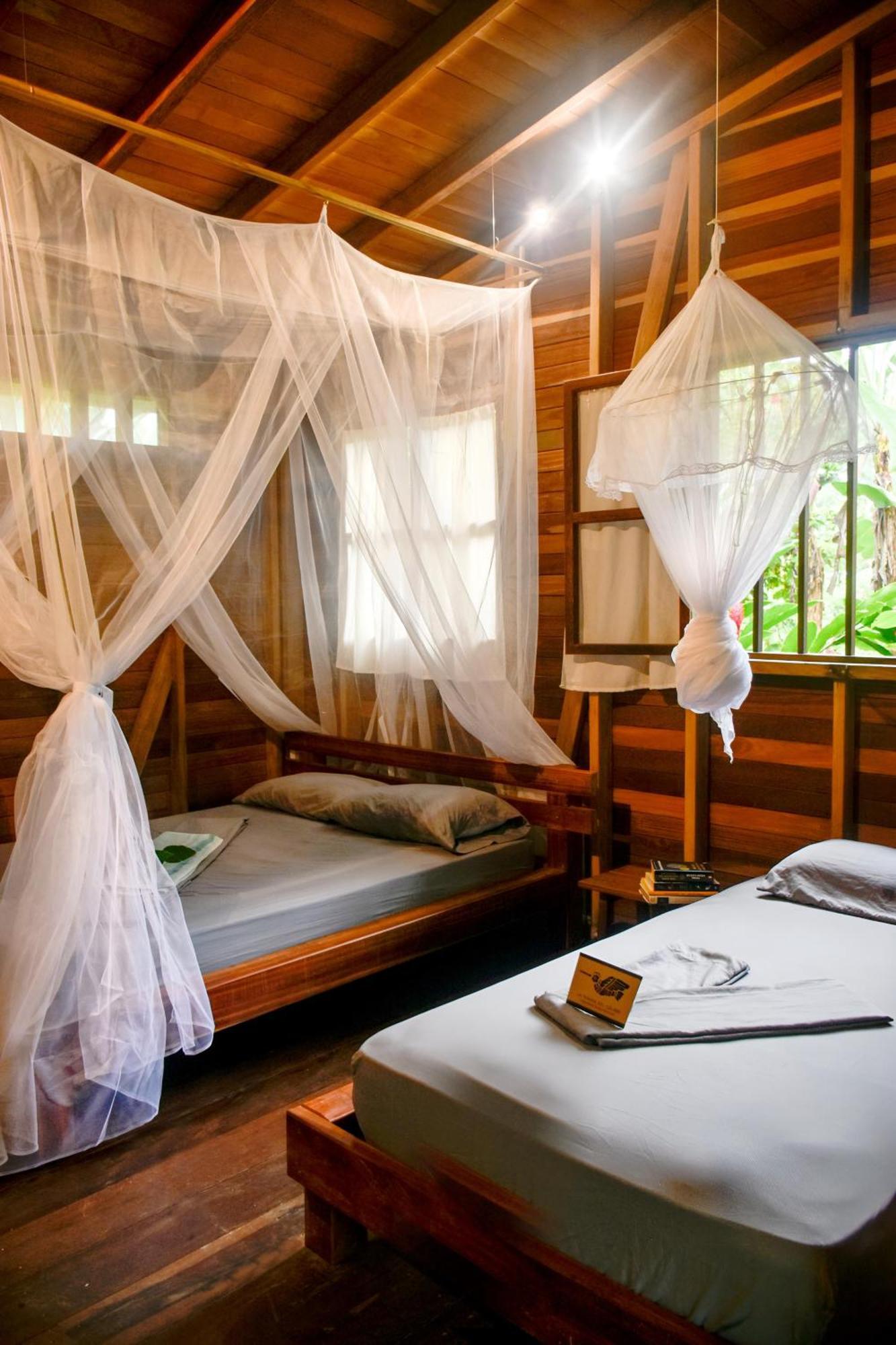 La Tarima Del Colibri Ecolodge El Valle  Ngoại thất bức ảnh