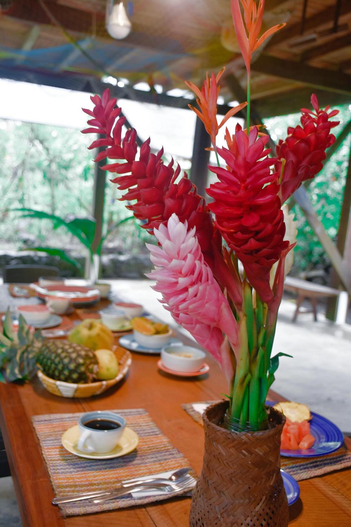 La Tarima Del Colibri Ecolodge El Valle  Ngoại thất bức ảnh