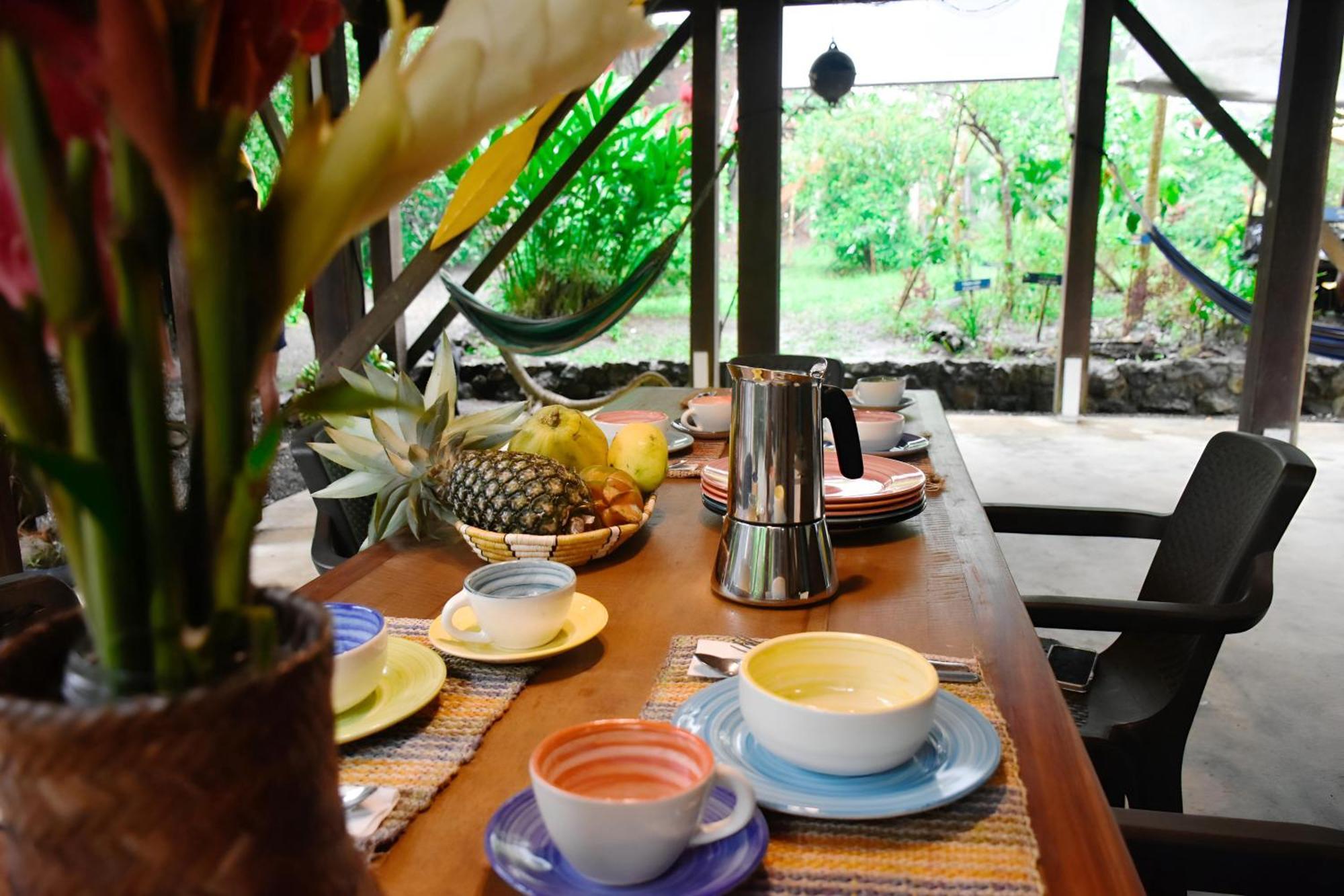 La Tarima Del Colibri Ecolodge El Valle  Ngoại thất bức ảnh