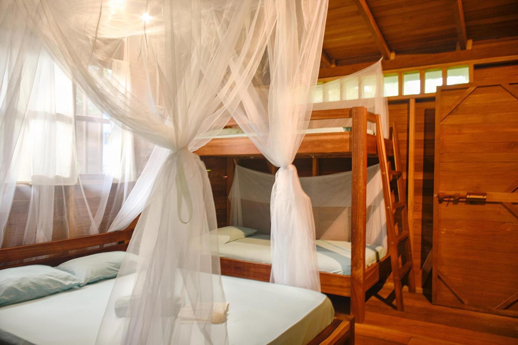 La Tarima Del Colibri Ecolodge El Valle  Ngoại thất bức ảnh