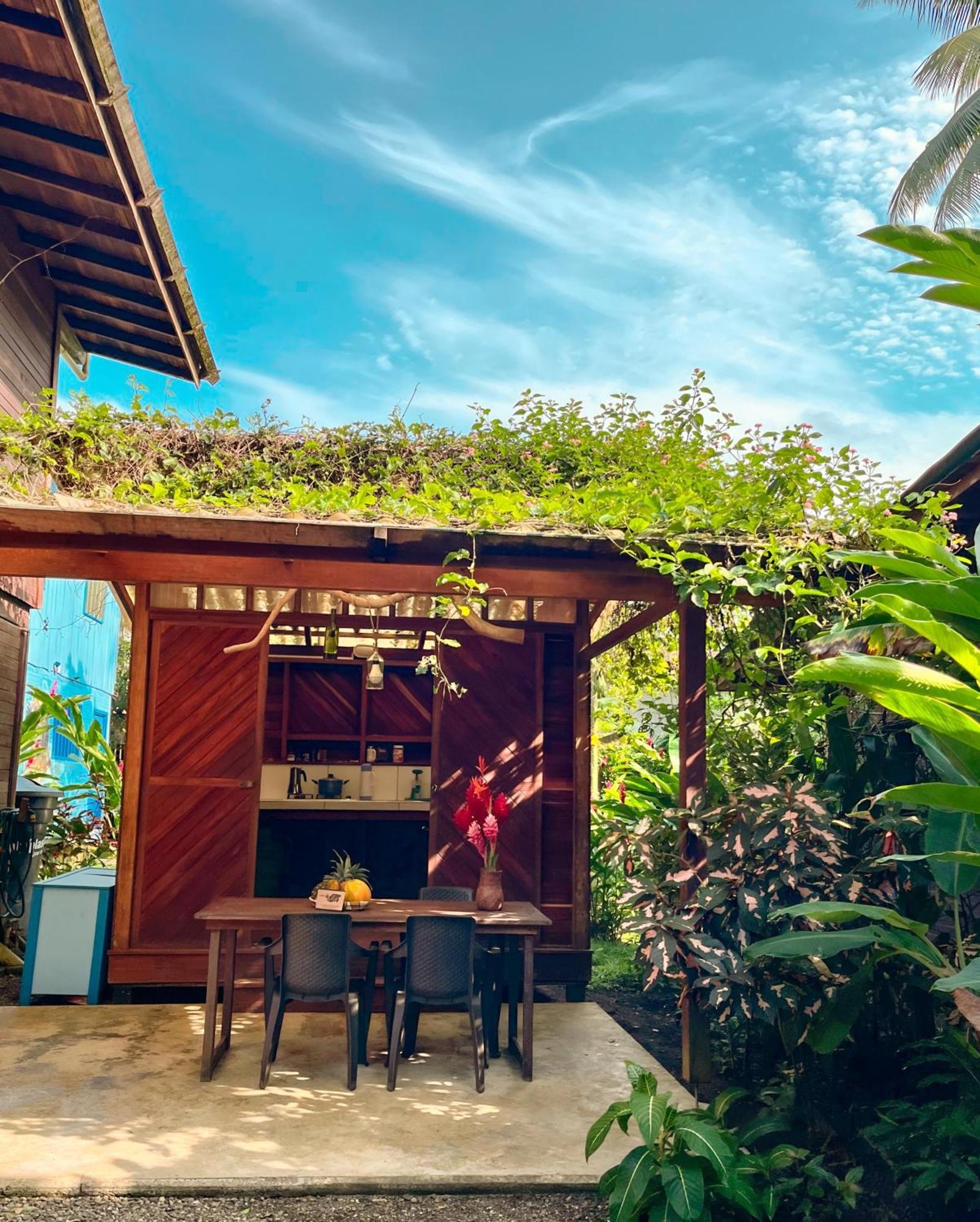 La Tarima Del Colibri Ecolodge El Valle  Ngoại thất bức ảnh