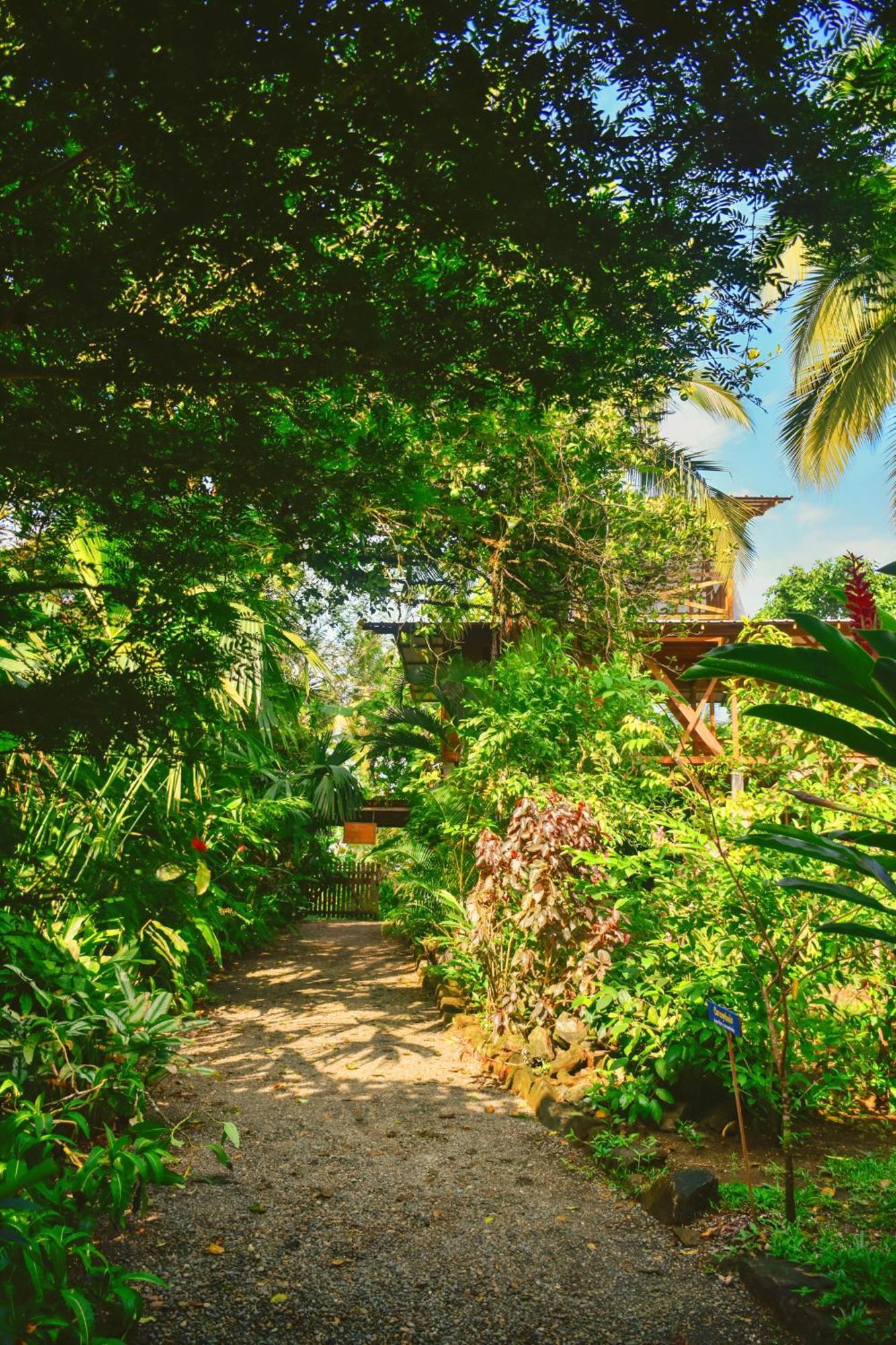 La Tarima Del Colibri Ecolodge El Valle  Ngoại thất bức ảnh