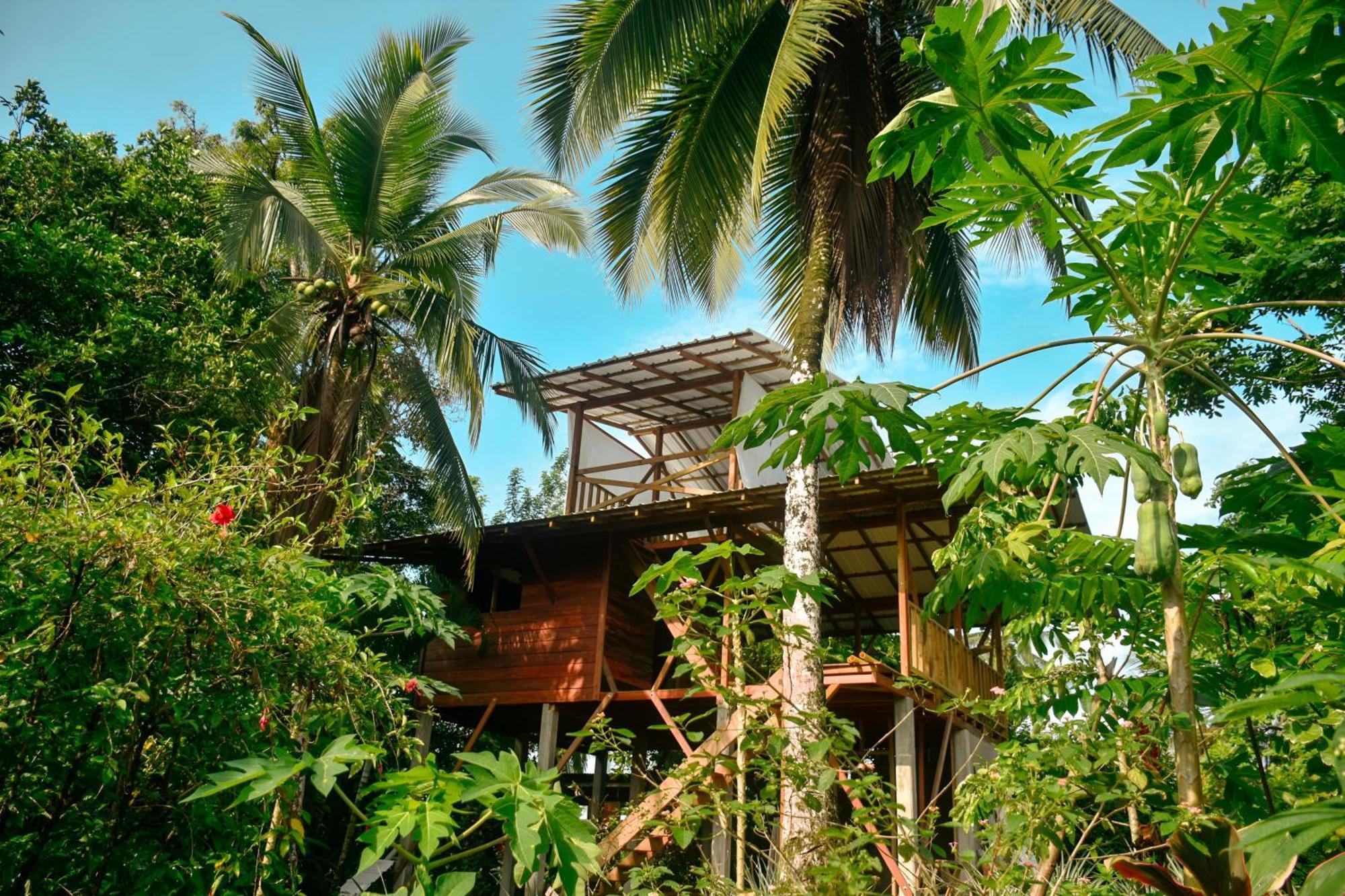 La Tarima Del Colibri Ecolodge El Valle  Ngoại thất bức ảnh